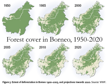 Borneo Forest Cover