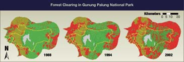 Gunung Palung forest change