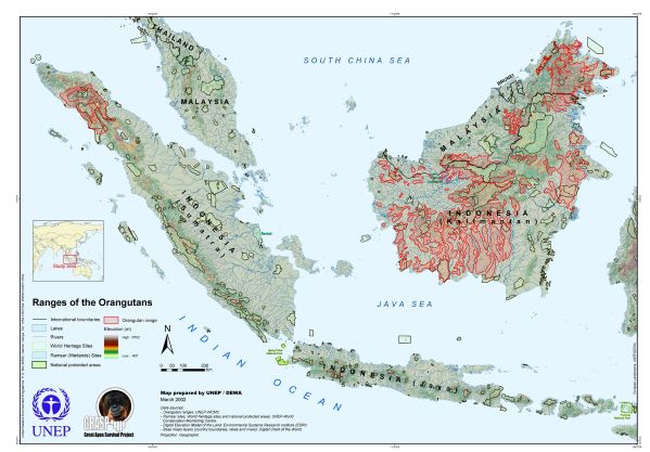 map of orangutan distribution