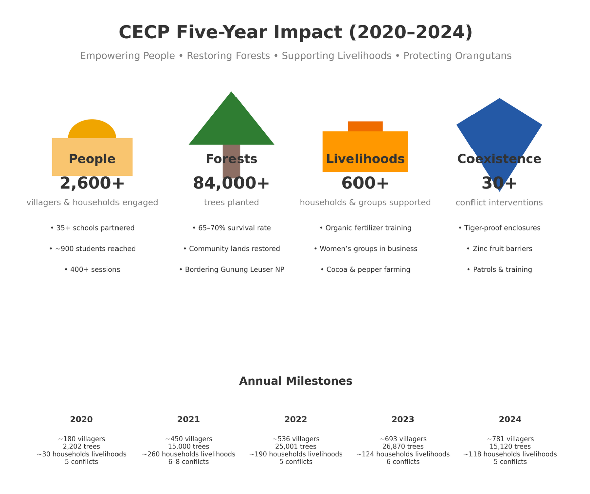 CECP 5 Year Impact Infographic