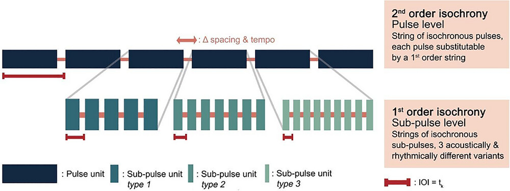 Recursive self-embedded isochrony in Bornean male orangutan loud calls