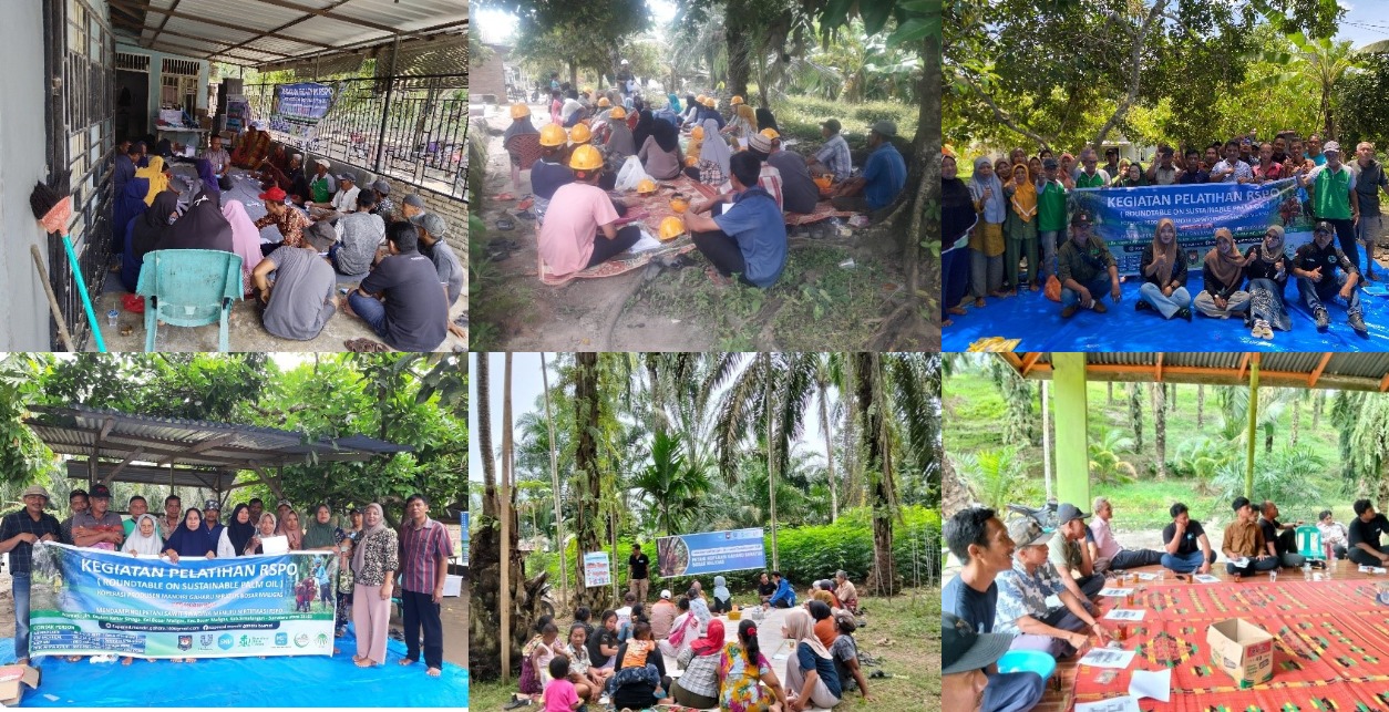 smallholder support through RSPO