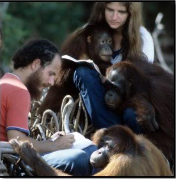 Birute helps Gary collect data in sign training to Rinnie
